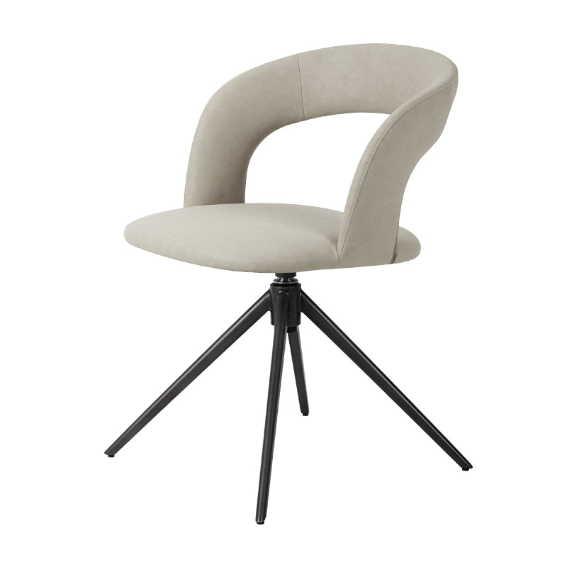 Leisure Chair Carbon steel